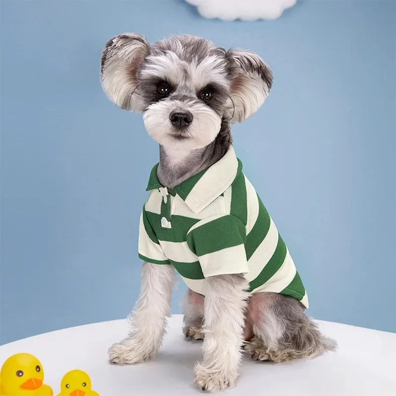 pet apparel