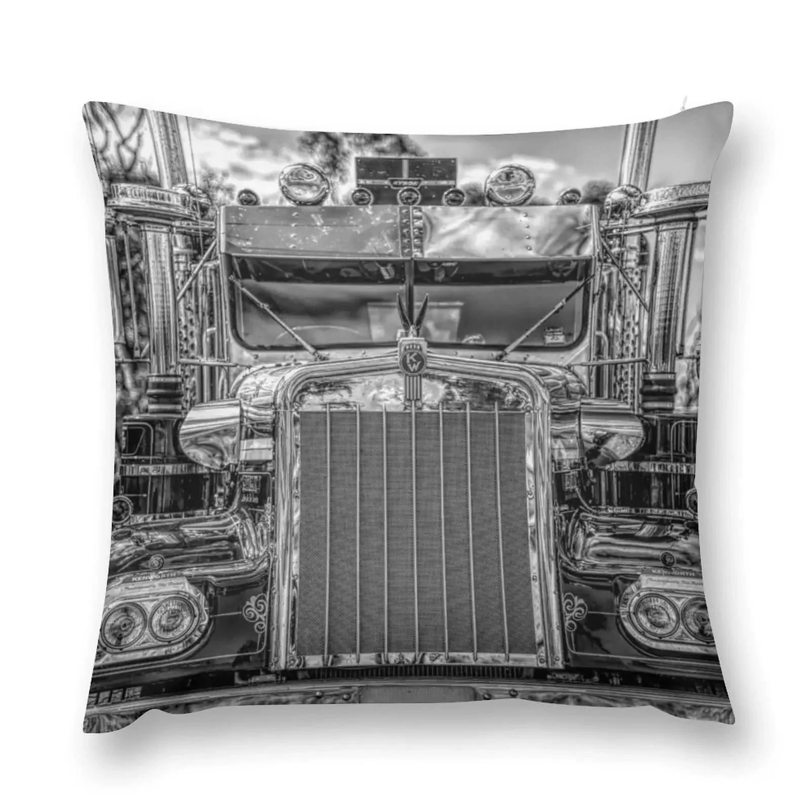 

Kenworth Throw Pillow Covers For Sofas Decorative Cushions For Living Room pillow