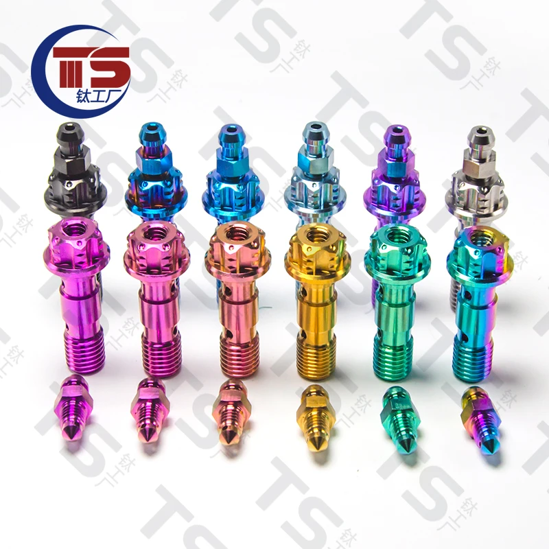 TS 2pcs and 10pcs Titanium Factory Titanium Alloy Caliper Double Layer Tubing Exhaust Screw M10X1.0mm 1.25mm