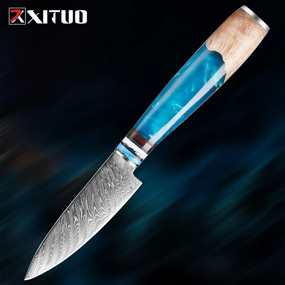 

Damascus 67 layers Steel 3.5 Inch Paring Knife Blue Resin &Wooden Handle Pro Fruit Knife Sharp Kitchen Small Knife Peeling Knife