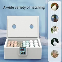 Egg Incubator Automatic Turning Hatching Brooder 10 To 25 Chicken Egg Incubator Intelligent Poultry Brooder for Hatching Chicken
