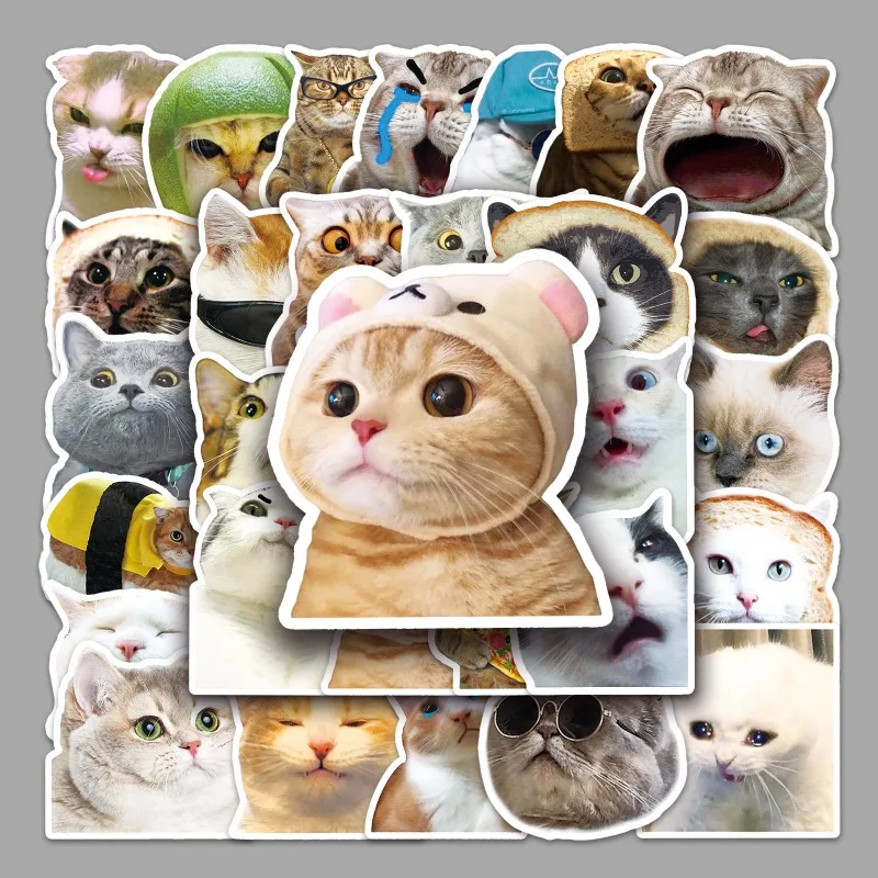 50PCS Cat Stickers Expression Pack Graffiti Notebook Decoration Skateboard Water Cup Notebook Luggage Stickers Wholesale