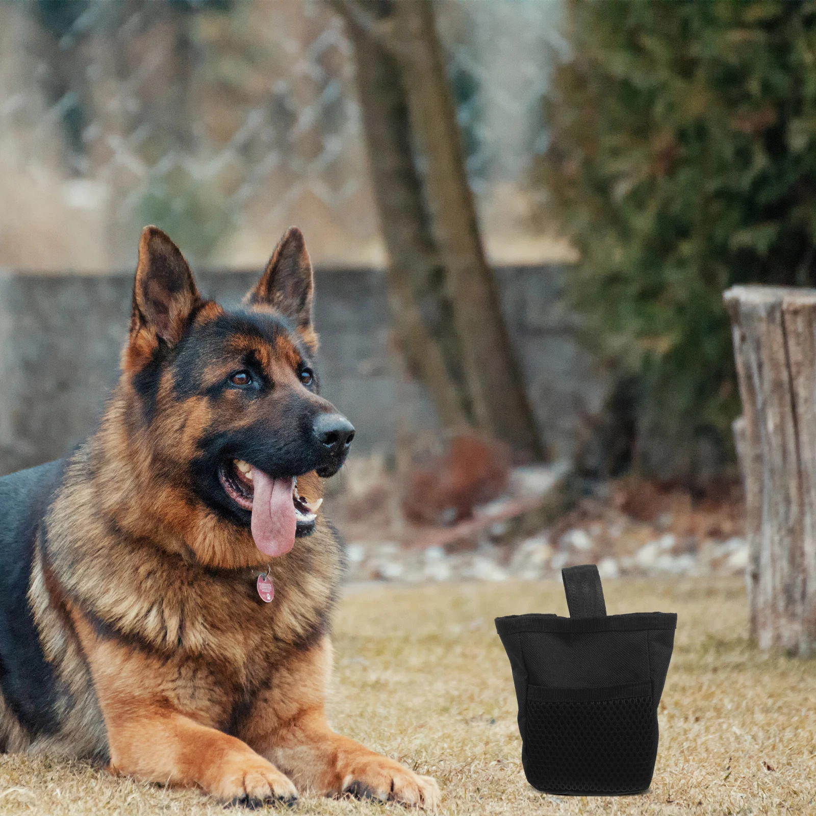 

Large Capacity Pet Feeding Treat Pouch Outdoor Portable Snack Bag for Walking Training Puppy Food Waist Excellent