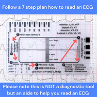 ECG 7 Step Ruler Portable Heartbeat Ecg Observation 7-Step Scale Measurement Tool Ruler For Ecg Interpretation