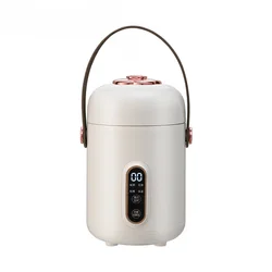 110V Electric Kettle Health Tea Water Boiler Stew Hot Pot Soup Porridge Slow Cooker Rice Cooking Heating Lunch Box Food Warmer