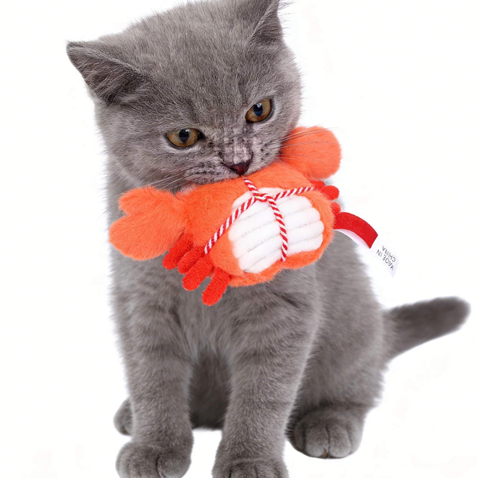 

Kitten Teething Catnip Rope Chew Bell Interactive Indoor Playtime Companion Crab Stuffed Animal Dental Chew for Healthy Kitten
