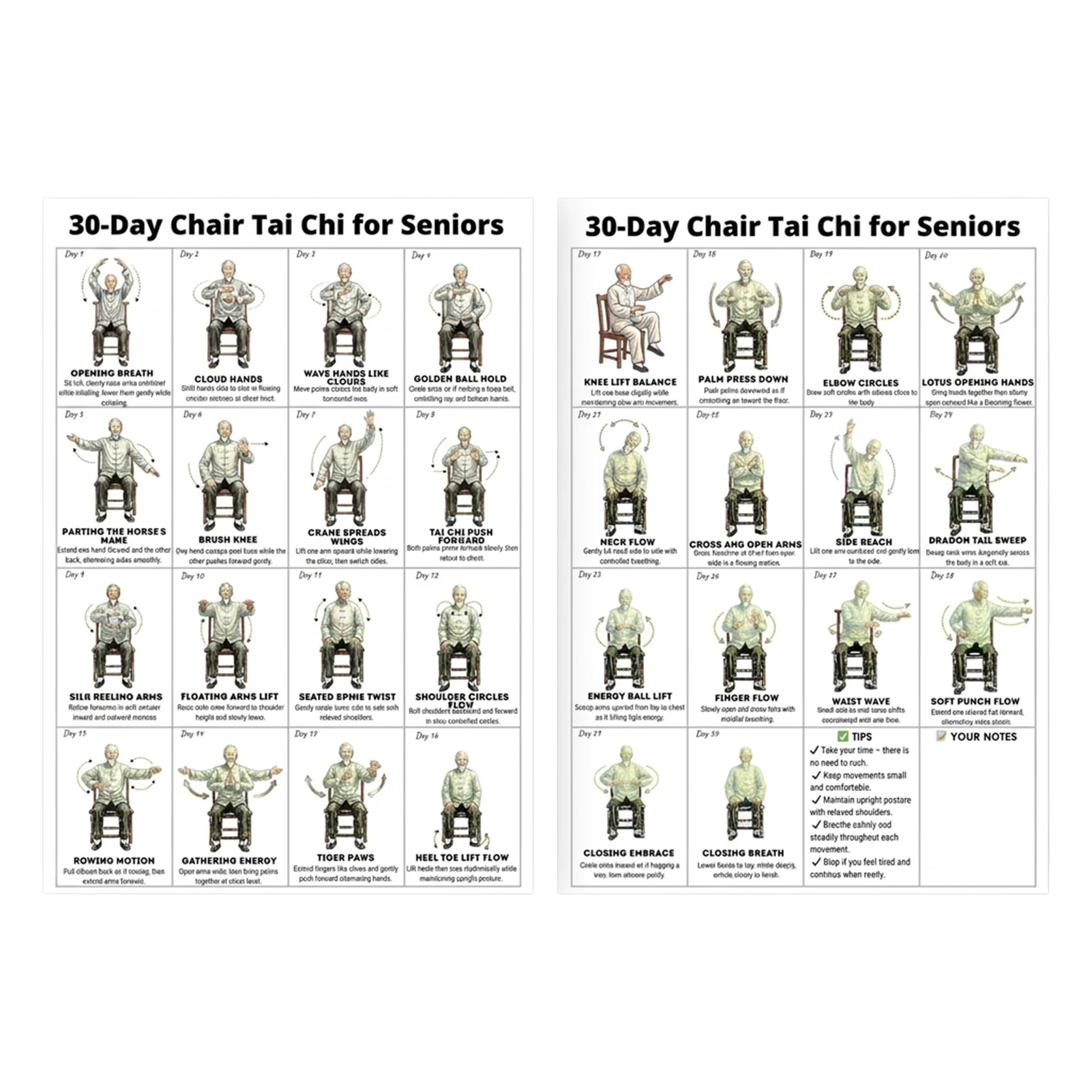 30 Day Tai Chi Exercise Plan for Seniors Home Fitness Poster with Clear Illustrations and Instructions