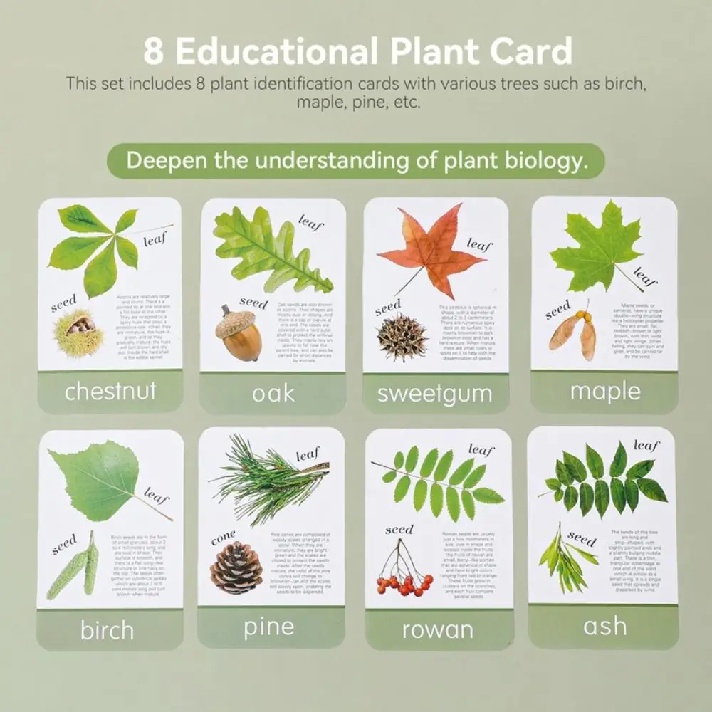 Montessori เด็กกลางแจ้ง Explorer เครื่องมือของเล่นเพื่อการศึกษาไม้แว่นขยายของเล่นสํารวจสติปัญญา