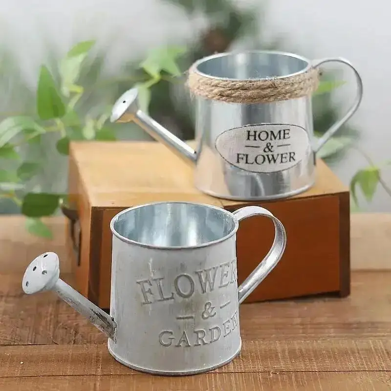 New Creative Retro Small Iron Watering Can Garden Ornaments Flowerpots Home Decoration Bucket Pots for Flowers Plant Accessories