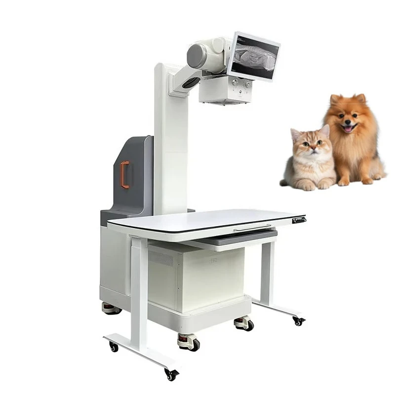 2026 32kw Digital Radiography X Ray Machine Dynamic Veterinary Diagnostic Equipment for Animal Hospital and Pet Supplies