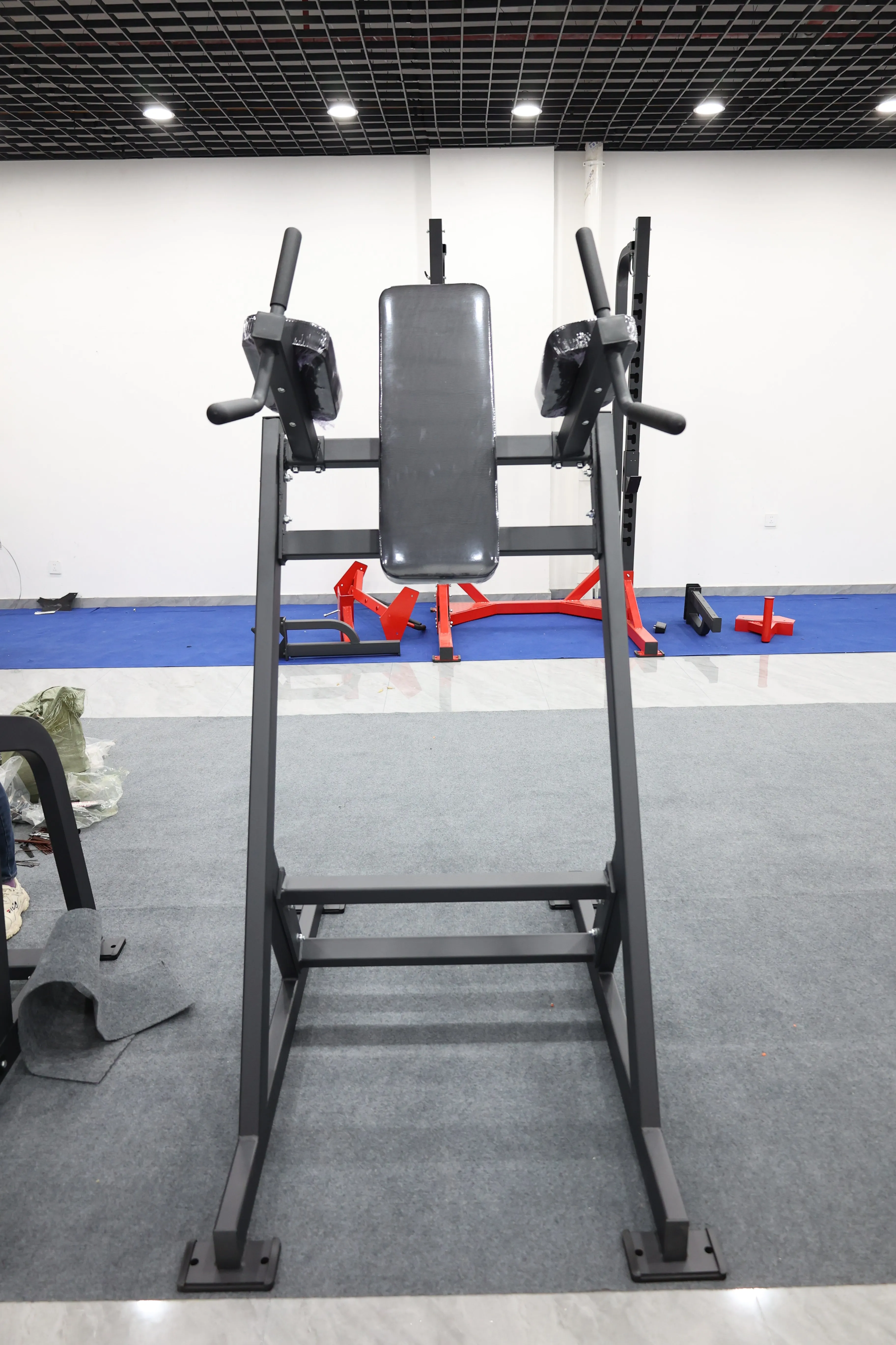 Factory Direct Sales Commercial Strength Fitness Gym Equipment  Vertical Leg Rise  Machine Leg Trainingpromote sales