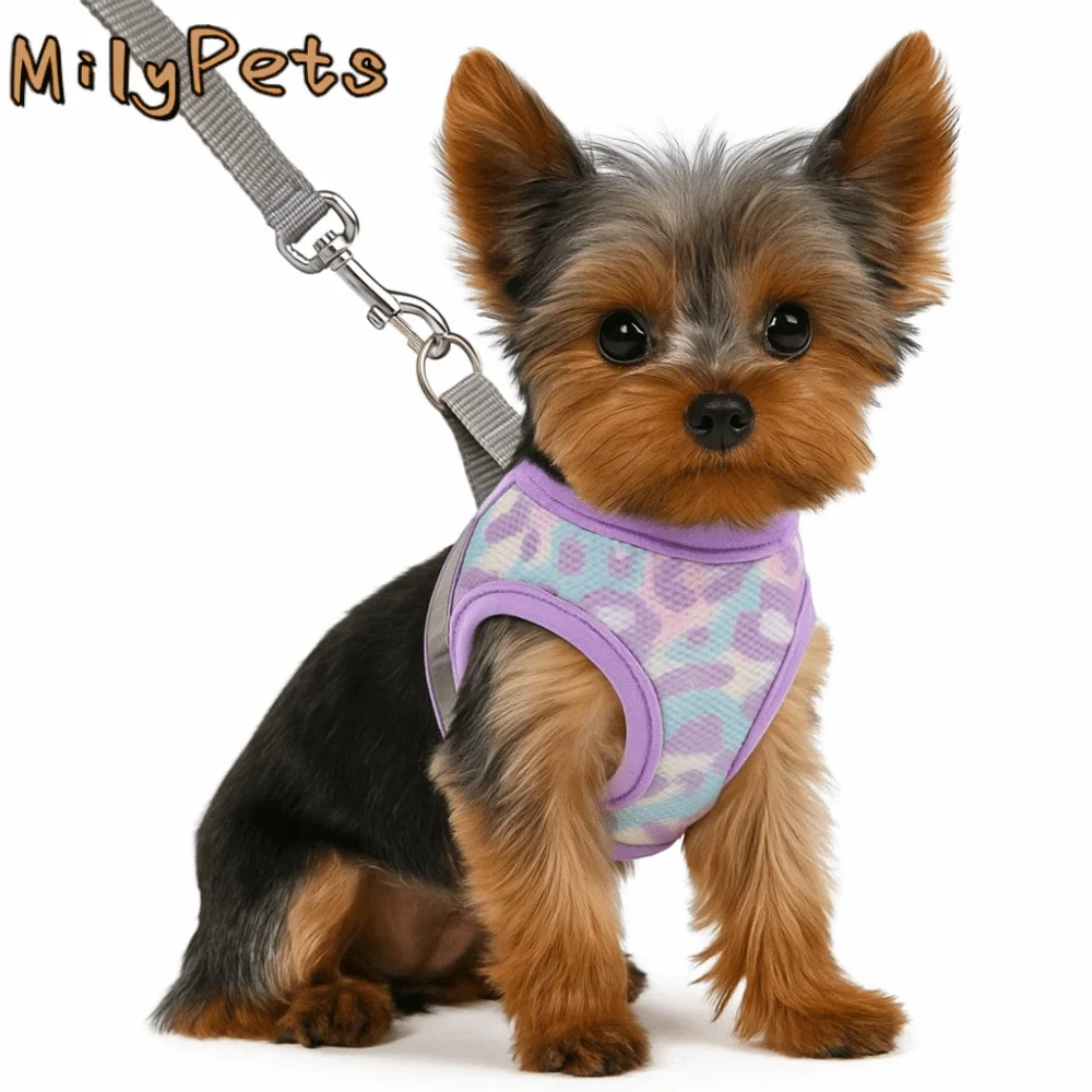 

Anti Loss Adjustable Dog Harness Leash Set Reflective Mesh Pet Vest Style Harness Kawaii Breathable Pet Chest Strap Cat