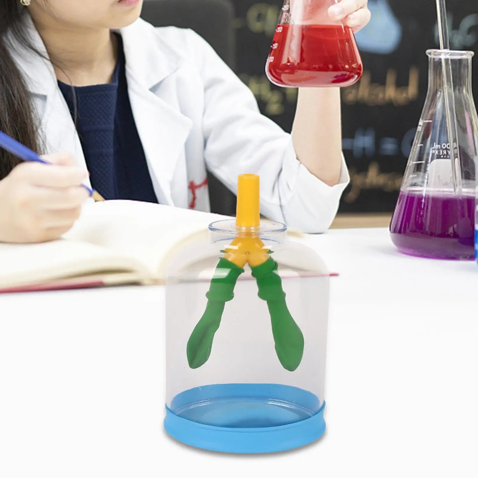 Kids Teaching Lung Demonstration Model DIY Biology Teaching Props for School