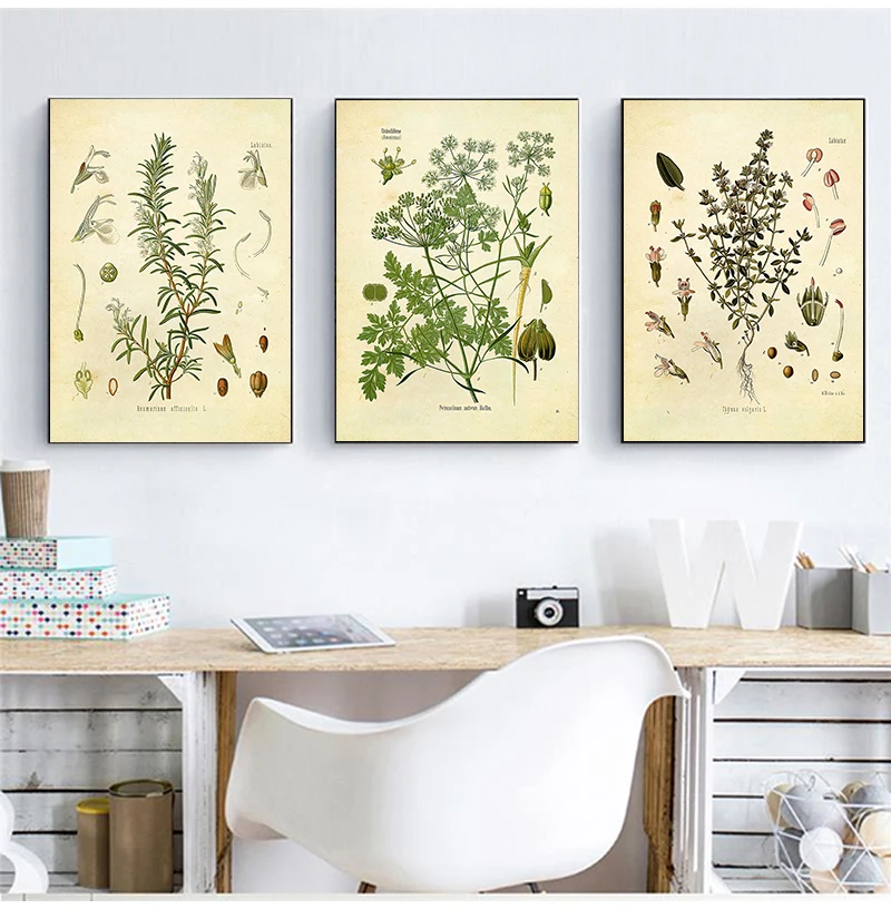 Spices Herbs Print Vintage Botanical Poster Parsley Sage Rosemary Thyme Culinary Wall Art Picture Canvas Painting Kitchen Decor