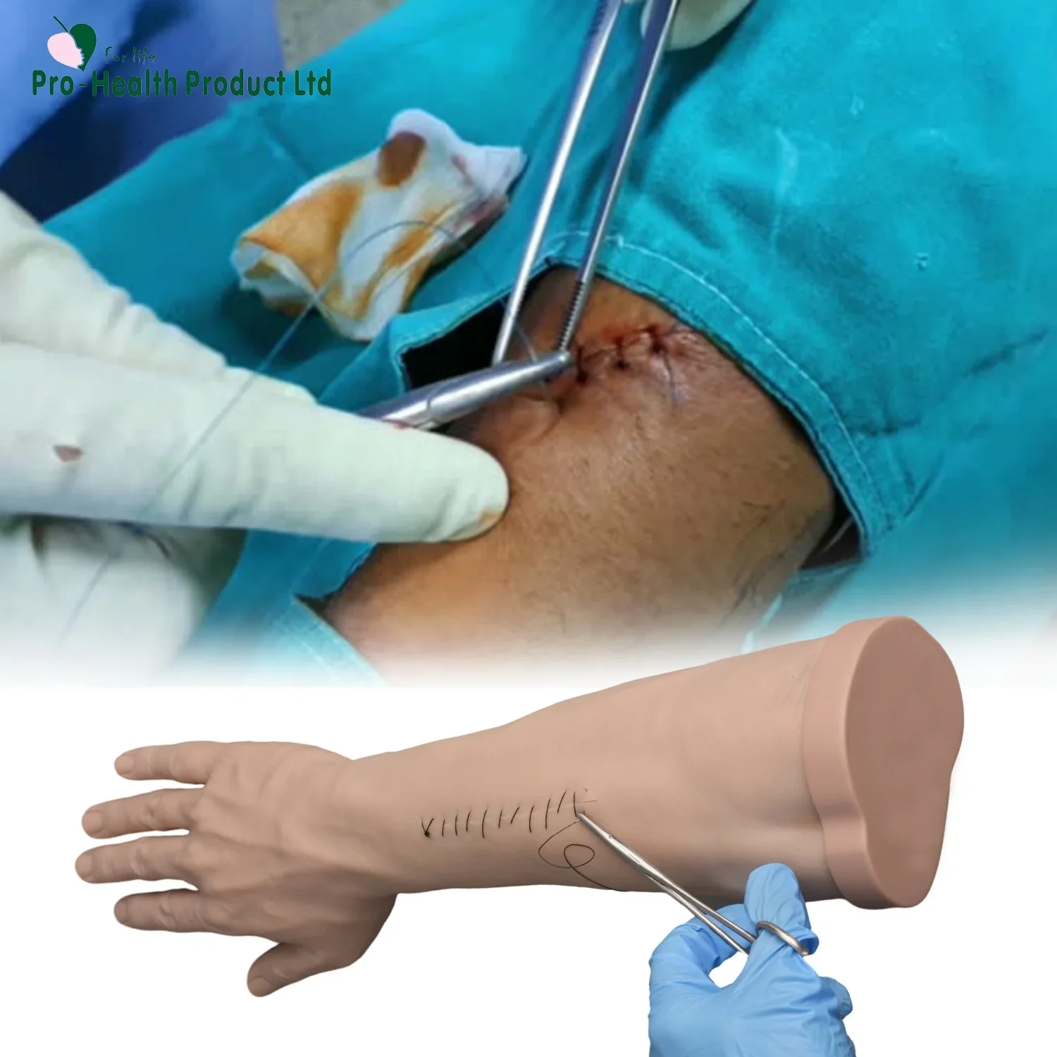 Suture and Stapling Practice Arm, Hand Surgery Model