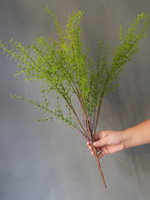 1PC,Artificial Fern Twig Plant Artificial Greens Plastic Vine Fake Ivy for Decoration Home Living Room Artificial Greenery