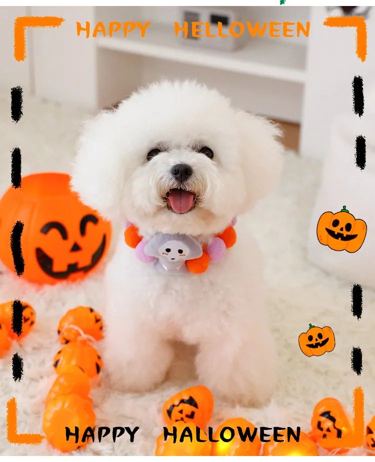 https://ae-pic-a1.aliexpress-media.com/kf/Sc7490955f2b74585942d8bda482c1dc33.jpg