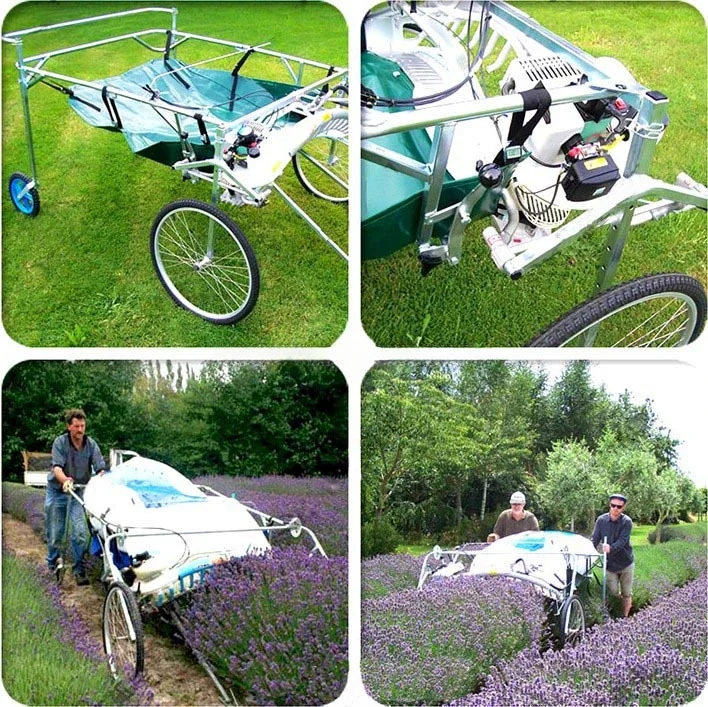 Selling a new type of flower harvester lavender