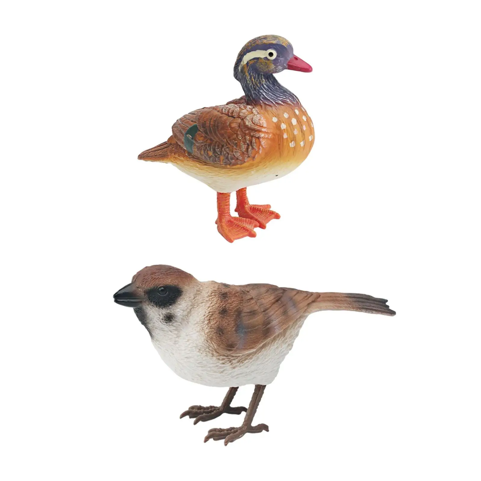 Simulation Bird Figures Toy Bird Model Miniature Birds Decor Bird Figurines for