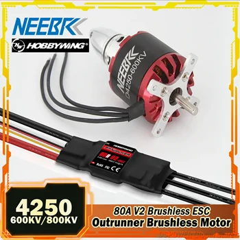 4250 RC FPV Outrunner Brushless Motor 600KV 800KV 3-7S 80A V2 ESC with Speed ​​Controller for Fixed-wing Drone Airplane Multicopter