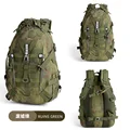 Ruins Green Camo