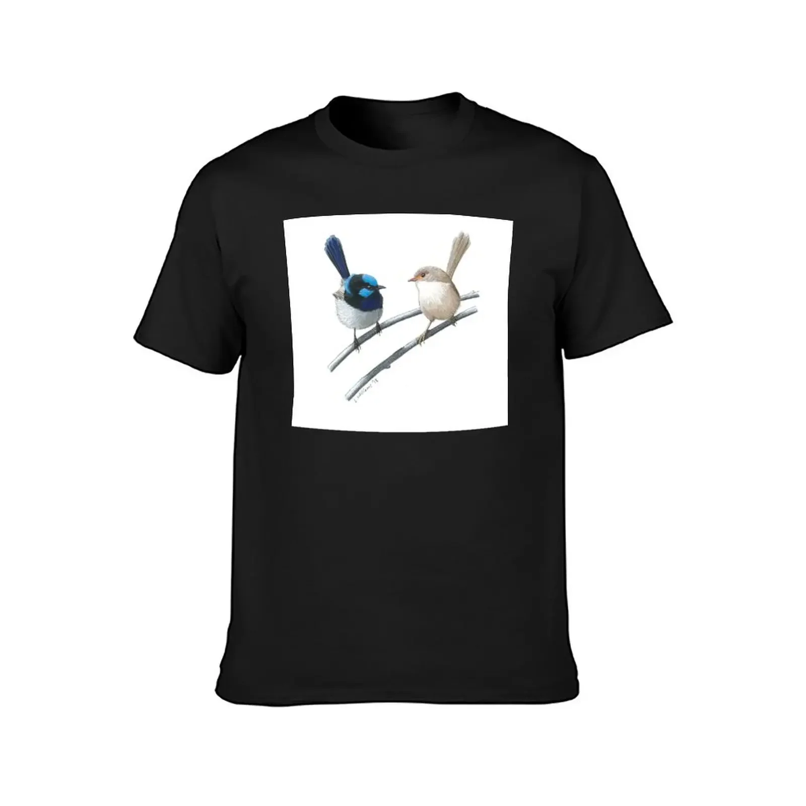 Superb Fairy-wrens T-Shirt graphic t shirt vintage vintage t shirts summer top Men's clothing