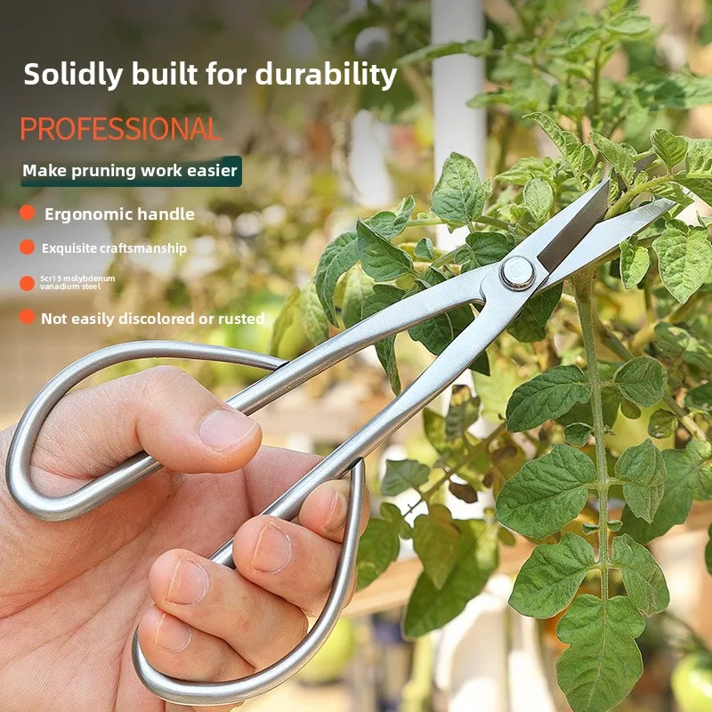

Обрезка нежных листьев, обрезка бутонов деревьев, специализированные ножницы для цветочной композиции, полностью стальной встроенный инструмент для обрезки и резки