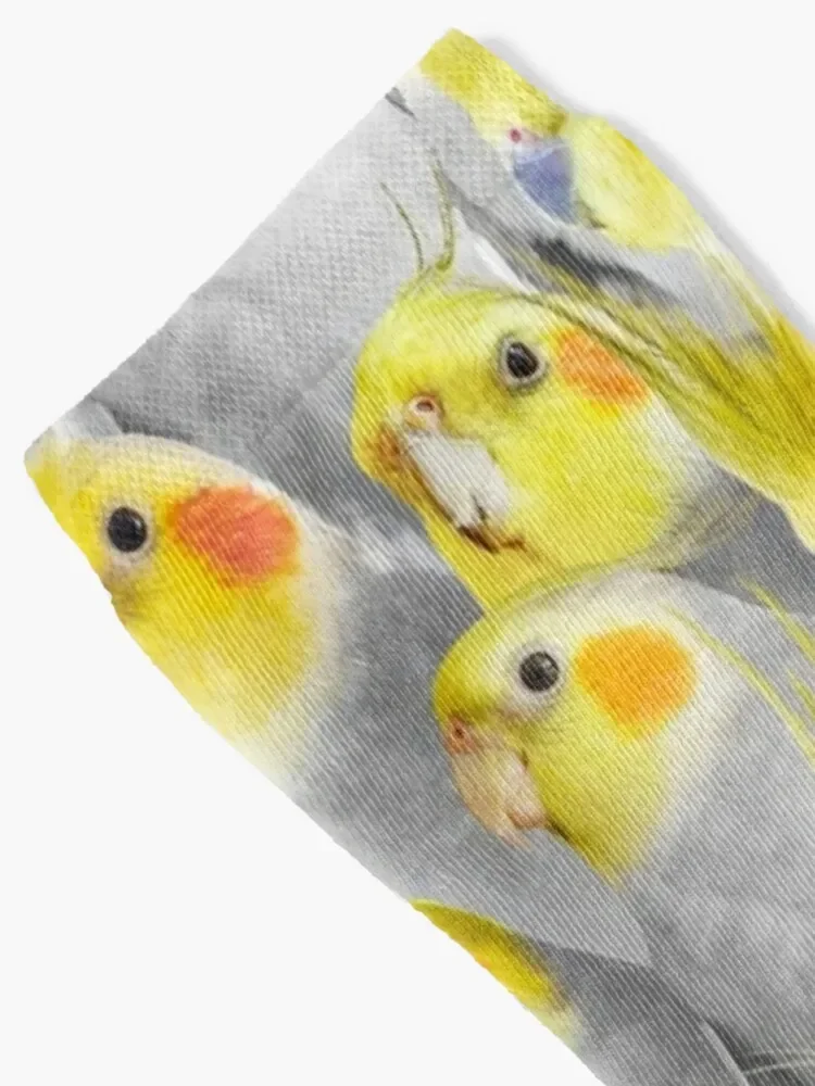 Cockatiel Crowd Pattern Socks New year's sheer Boy Socks Women's