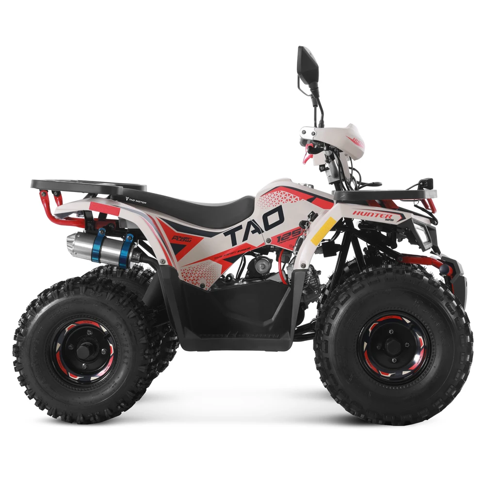 Tao Motor 2024 Off Road Farm Cheap ATV Gas Powered Cuatrimoto Quadricycle Automatic 4 Stroke Engine 125cc ATV