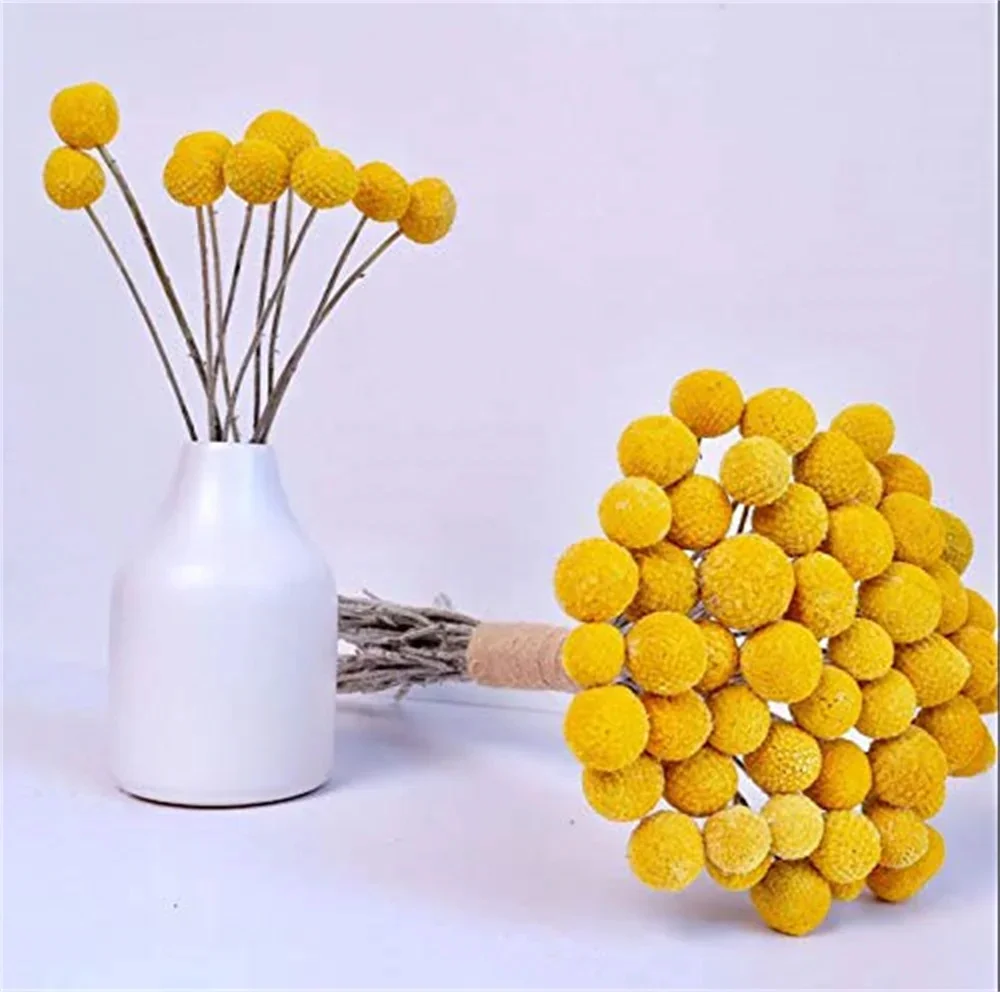 #12 Top Dried Flowers Picks for Every Budget