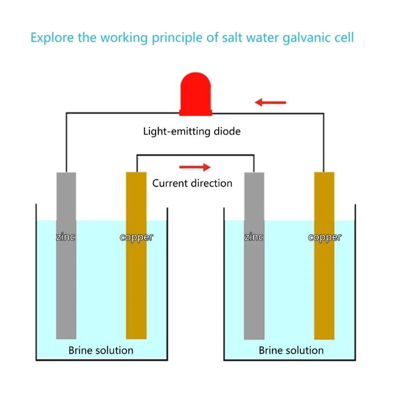 Custodia per esperimenti di generazione di energia in acqua salata per bambini e studenti che imparano i principi di fisica ed elettricità