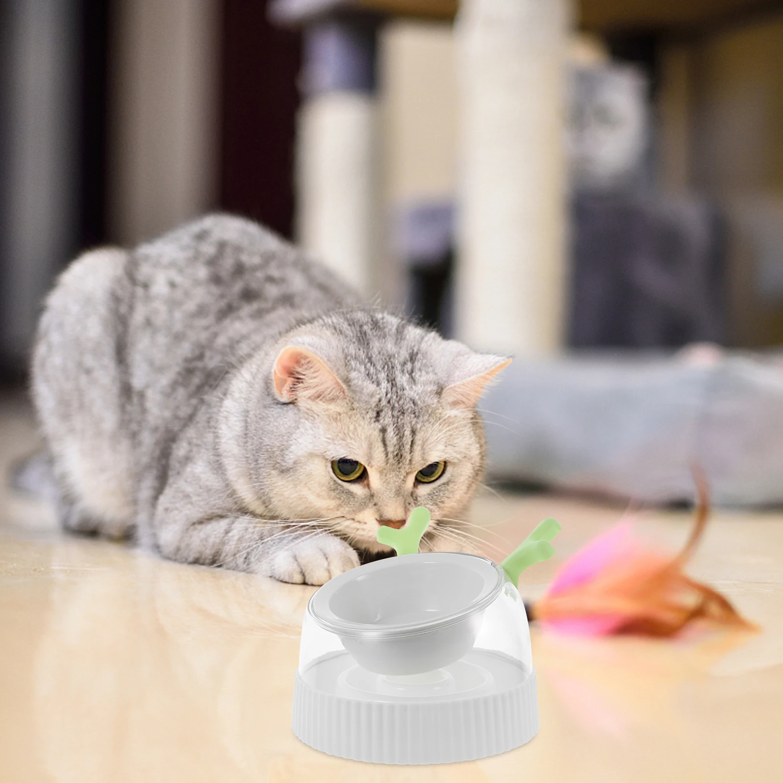 

Small Indoor Cat Dog Feeder Bowl Spillproof Pet Water Food Dispenser Non-Slip Easy Clean Dog Feeder Bowl Dispenser