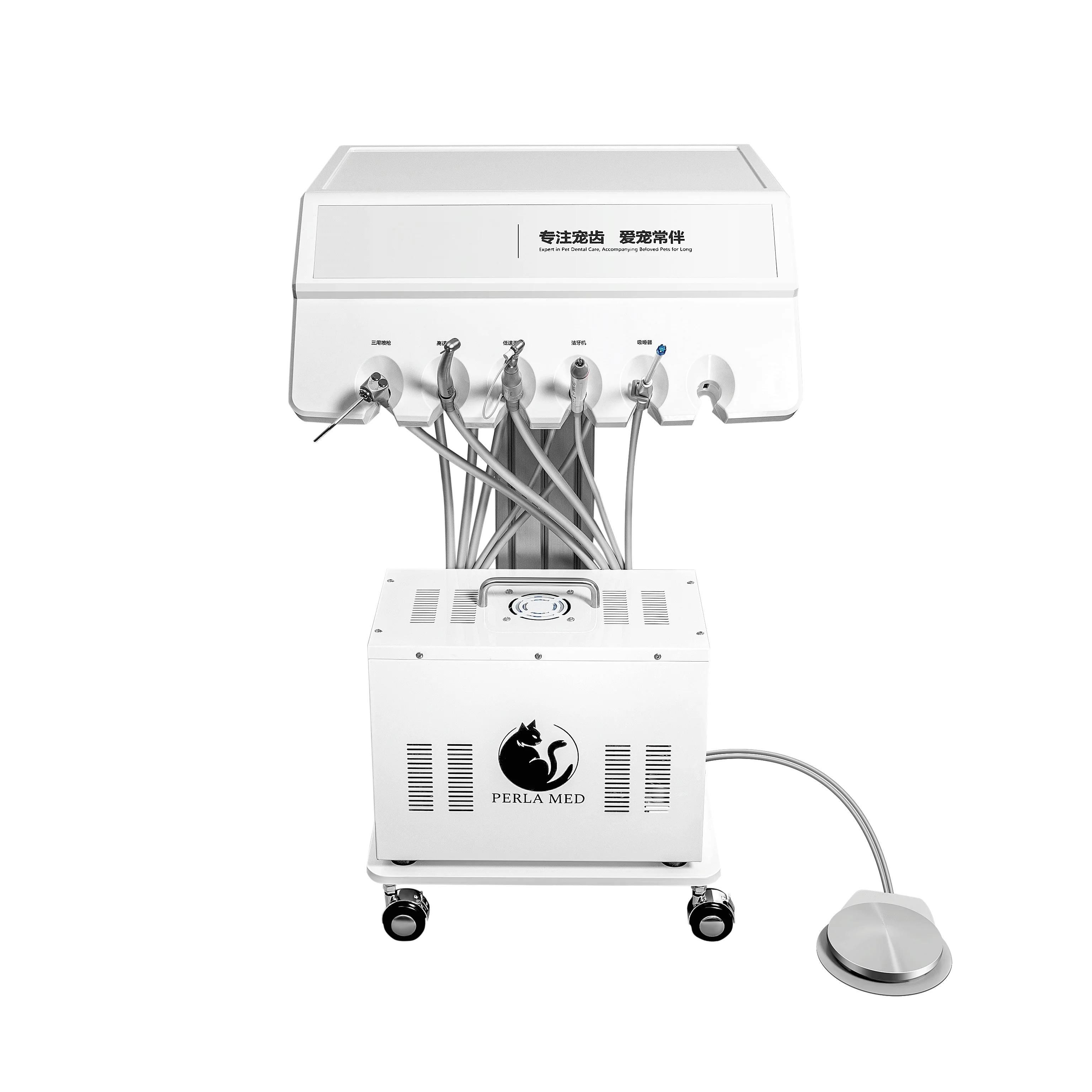

Portable Dental Therapy Machine With Dental Turbine Unit Clinic Equipment For Pets Veterinary Instruments