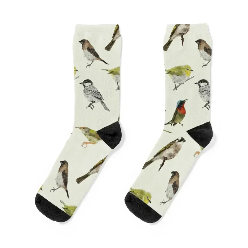 Realistic Garden Birds Seamless Pattern Design Socks warm winter snow Man Socks Women's