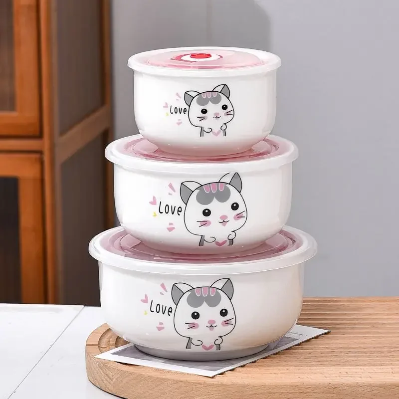 Ceramic fresh-keeping bowl high appearance level cartoon vacuum portable new dormitory foam bowl refrigerator anti-odor storage