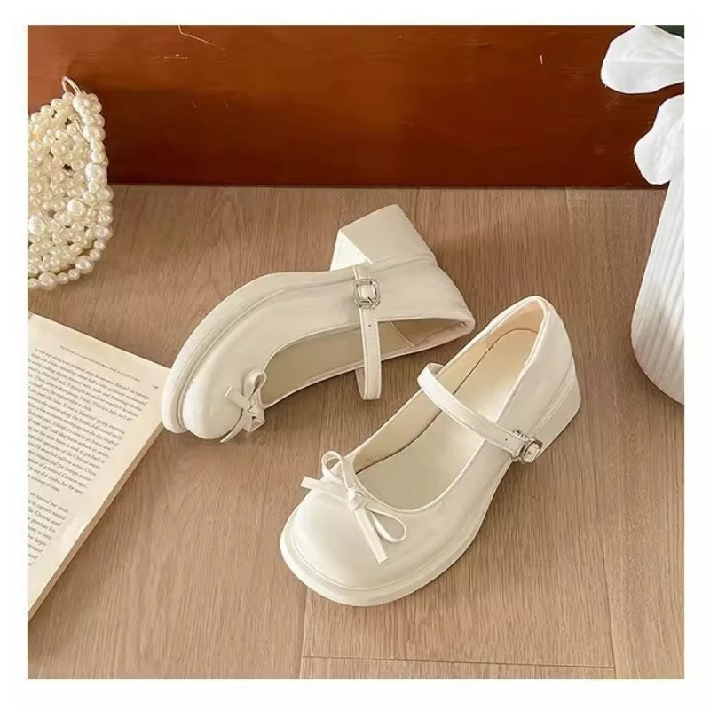 

2026 New Platform Thick High Women Mary Jane Shoes Ladies Concise Outdoor Pumps Spring Autumn Women's Dress Leather Shoes