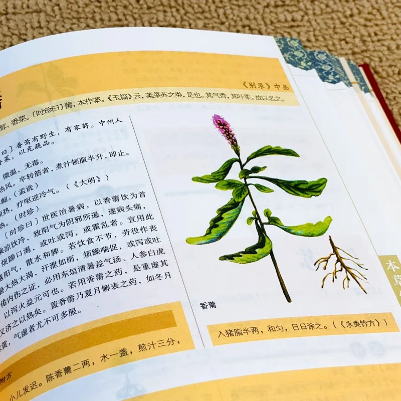 Imagem -05 - Medicina Tradicional Chinesa Livros Preservação Saúde Compêndio de Materia Medica Obras-primas Médicas