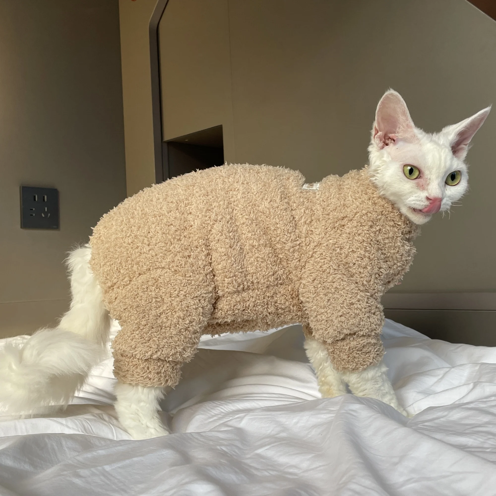 Winterwarmer 4-beiniger Plüsch-Sweatshirt-Hutanzug für Devon Rex im Winter, weicher gelber roter Pullover für Sphynx-Katze, Kätzchen, Khaki-Mantel – Detail 16