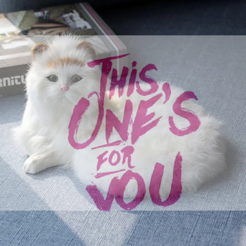 【BS】 Sac à dos réaliste en peluche de chat Ragdoll – Poupée d'animal en peluche réaliste que vous pouvez porter ou câlin, jouet apaisant, cadeau pour les filles