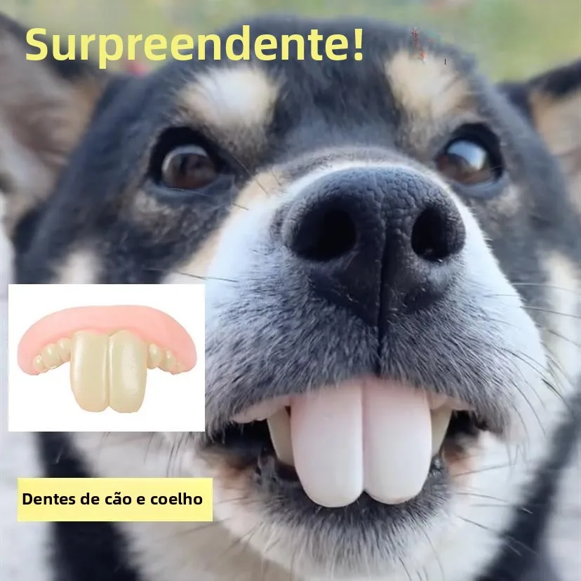 コミカルな歯ブラケットペットおもちゃ犬ウサギグラウンドホッグ大きな歯いたずら道具歯科器具偽歯パフォーマンスマジックショー用