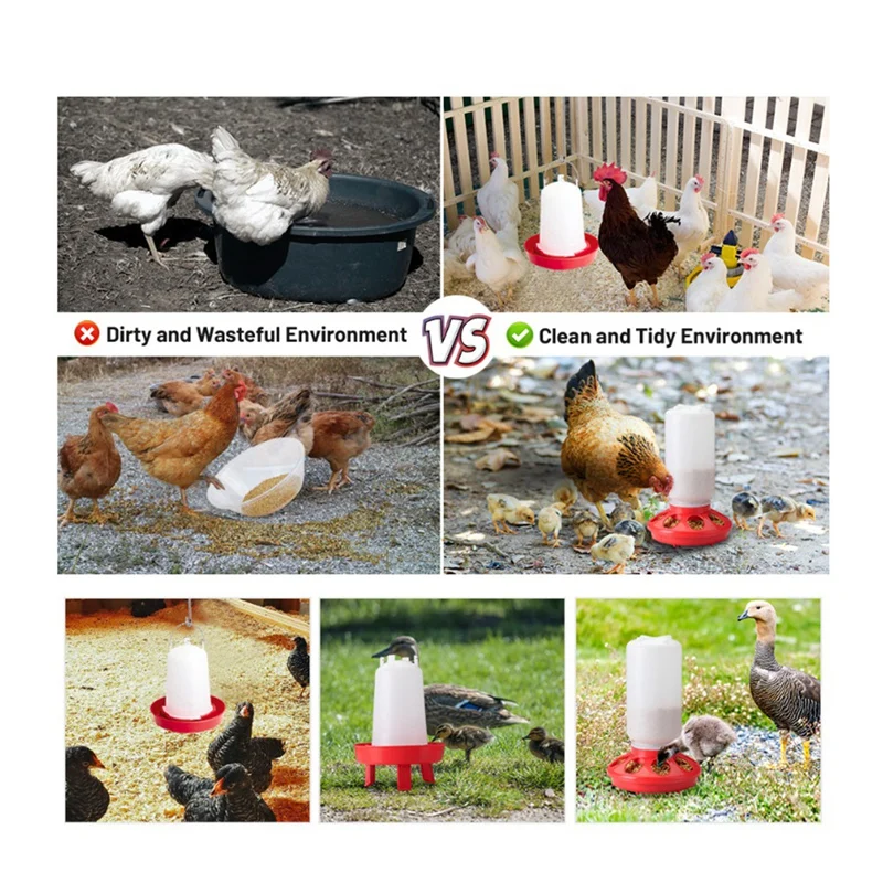 Perlengkapan pemberi makan dan Waterer anak ayam isi atas, pemberi makan dan Waterer anak ayam dengan 3 ketinggian kaki yang dapat disesuaikan untuk anak ayam