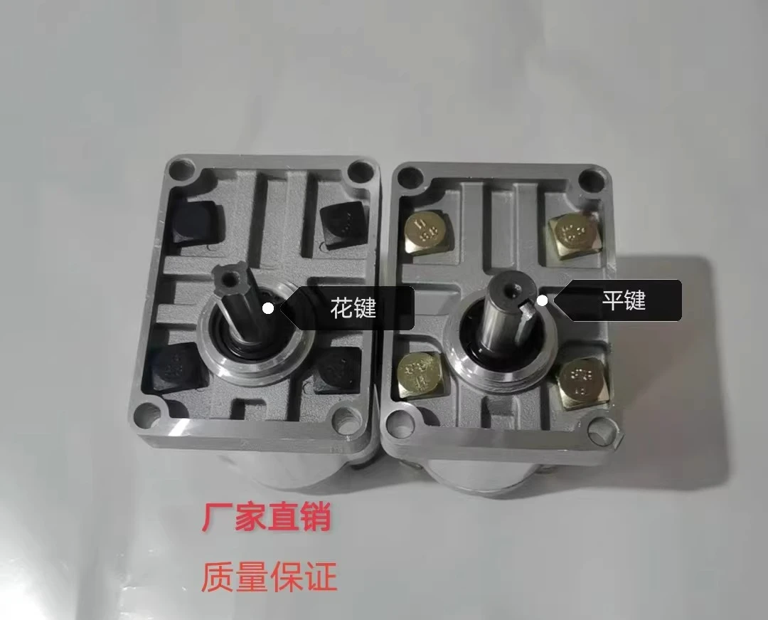 Marine gear pump CBN-E325 hydraulic oil pump cbne325 steering gear pump head
