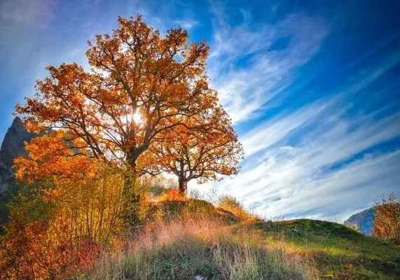 

SKYZONE SKY02O FPV Goggles OLED 640x400 29° FOV 5.8G 48CH SteadyView Head Tracker AV IN/OUT 64GB DVR