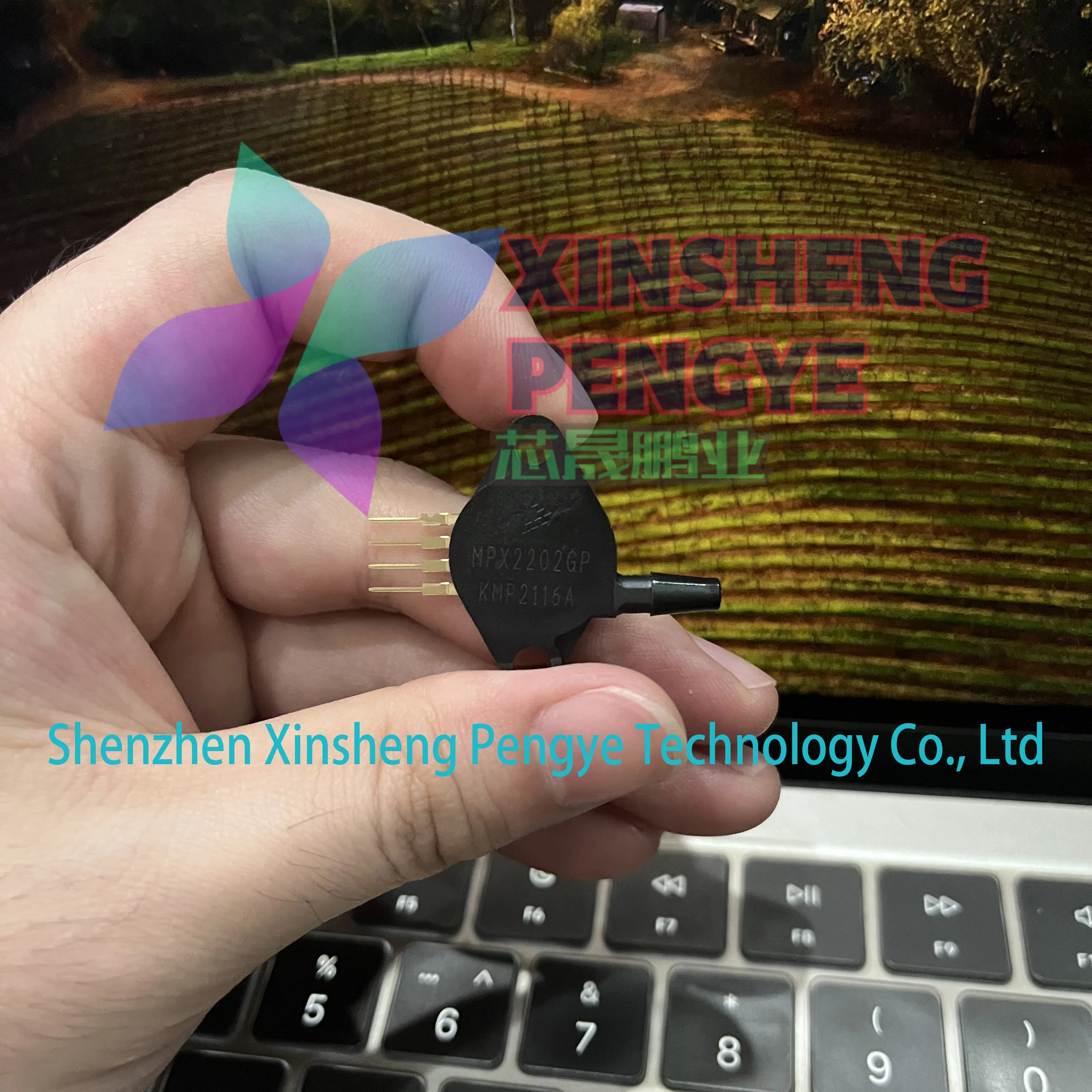 

100% New and Original MPX2202GP Packaging SIP-4 0V to 0.04V 0kPa to 200kPa Pressure Sensors IC In Stock
