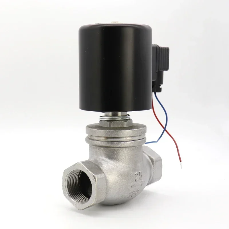 2/2 Direct Acting Solenoid Valve Made in China Factory High Temperature Control Steam 24V 220V AC/DC Pilot Piston Design