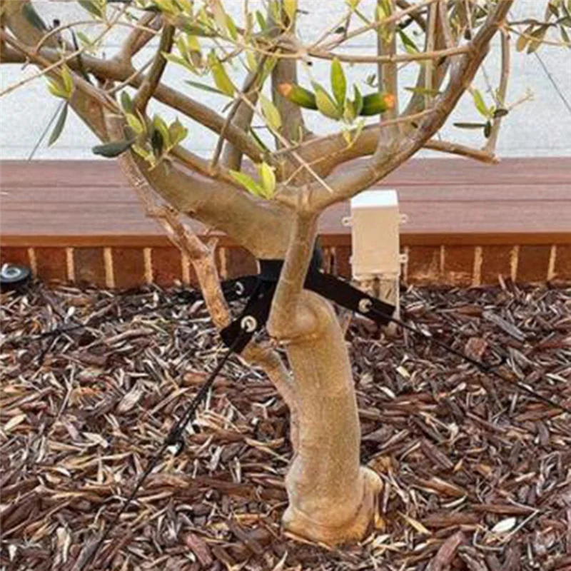 

2Z-Tree Straps 15.74 Inch For Staking With Grommet For Guying/Staking Newly Planted Saplings And Hurricane Protection