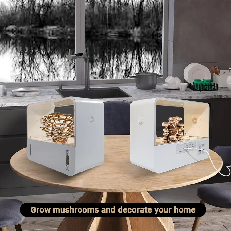 New Design Mini Mushrooms Plan - Smart Garden Design ulasan dan harga