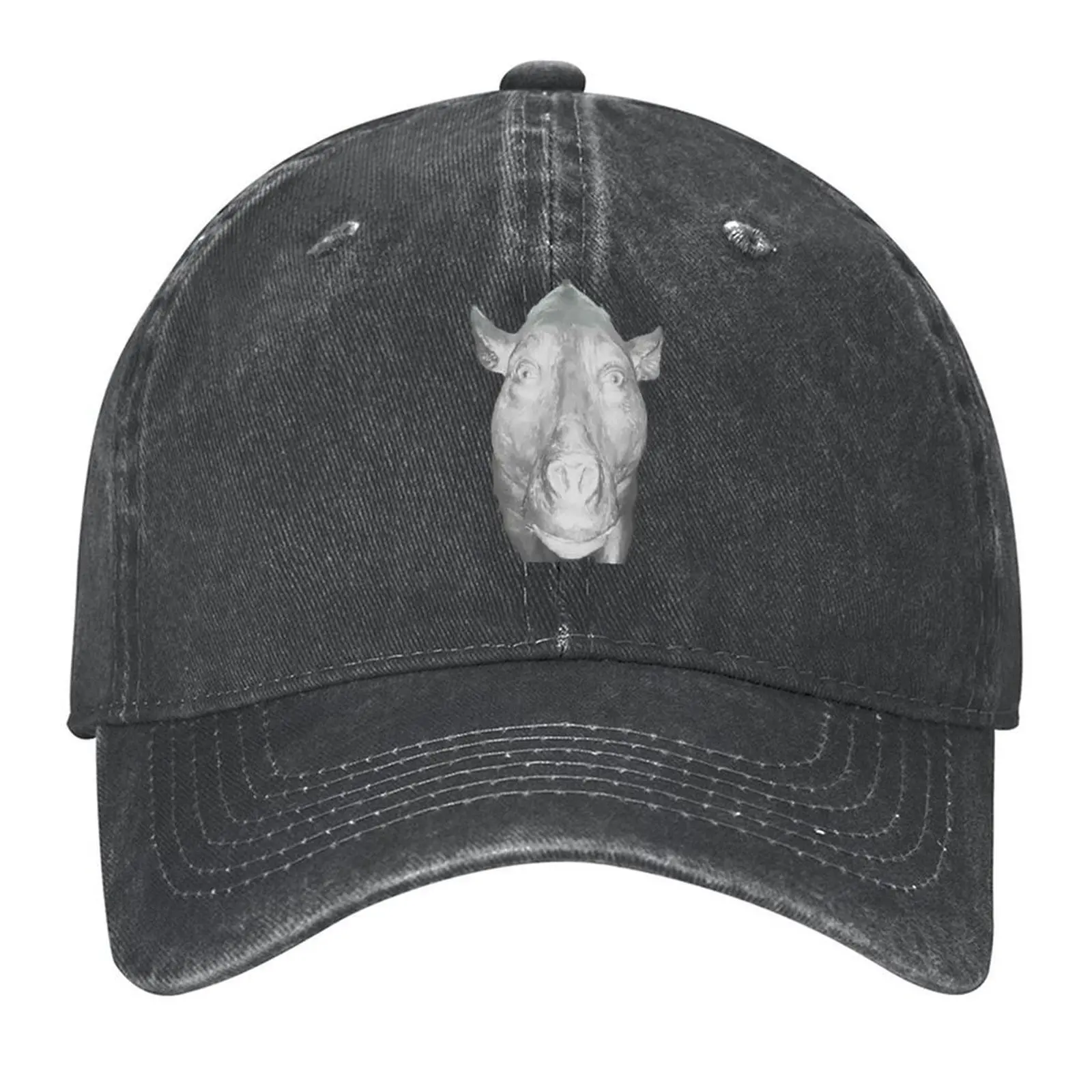 

Daeodon at the door Baseball Cap hard hat Gentleman Hat Hat men Cosplay Men's Women's