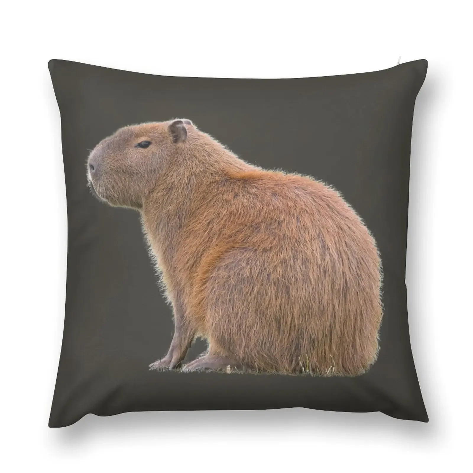 

3rd Suspicious Single Capybara Stickers Package. Funny Capybaras For Every Capybara Lover Or Other Rodent Owner! - Throw Pillow