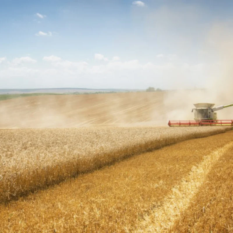 Mise à niveau en métal, essieu, support de servo, moyeu de roue, arbre de transmission, pour pièces de voiture RC WPL 1/10 C74